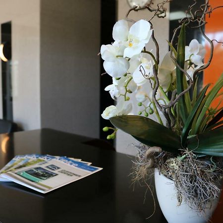 קילצה Hotel Dyminy מראה חיצוני תמונה